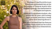Colour version of the Lisa Piccirillo poster